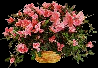 Flower Basket by Lux