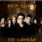 New Moon Calendar 2010