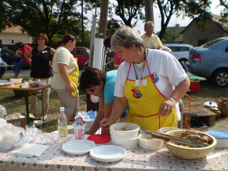 Főzőnap, 2009