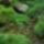 Dsc04415_383854_27501_t