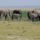 Kenya2006_090_383538_42877_t