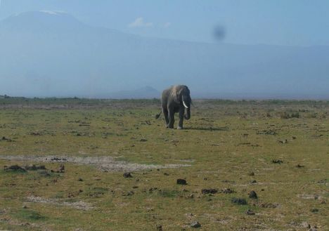 Kenya,2006. 095