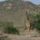 Kenya2006_156_383535_11733_t