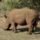 Kenya2006_167_383500_78092_t