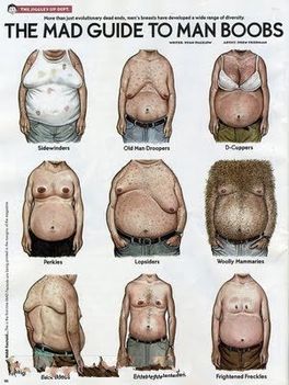 small_the%20mad%20guide%20to%20man%20boobs