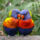 Szerelem_383690_31757_t