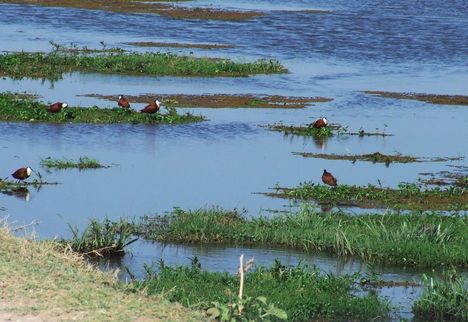 Kenya,2006. 078