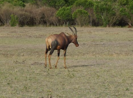 Kenya,2006. 172