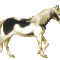 horse125