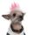 Punk_dog_386712_80990_t