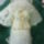Dsc00029_388237_37201_t