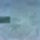 Dsc00226_388249_87367_t