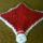 Dsc00250_388259_62892_t