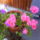 Dsc00288_388392_70978_t