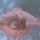 Kep005-001_388181_94482_t