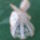 Kep010_388184_64645_t
