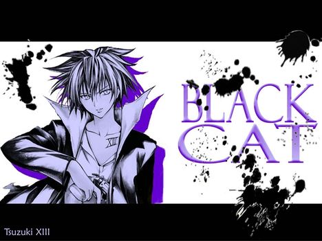 black_cat_042