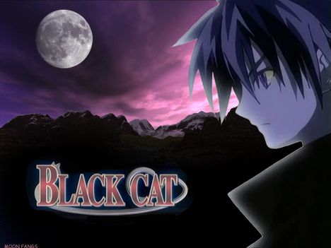black_cat_048