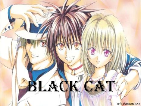 black_cat_061