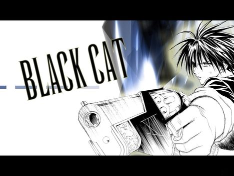 black_cat_073