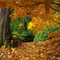 fall-of-autumn-leaves-wallpaper
