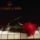Rozsa_a_zongoran-001_393553_99594_t
