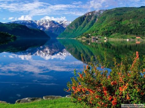 Ulvik-Hardangerfjord-Norvégia_legmélyebb_fjordja