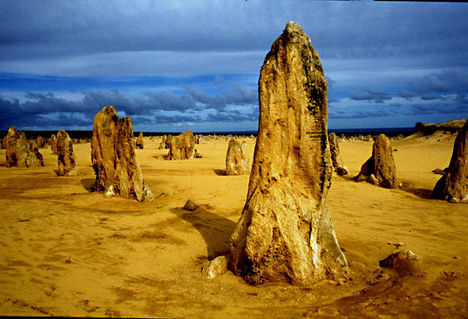 Pinnacle sivatag, Ausztrália