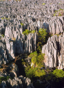 Tsingy de Bemaraha, Madagaszkár