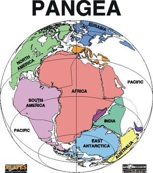 Pangea 6