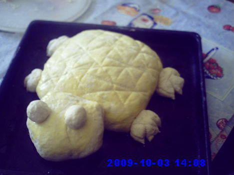 teknős süti