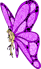 butterfly_person_2