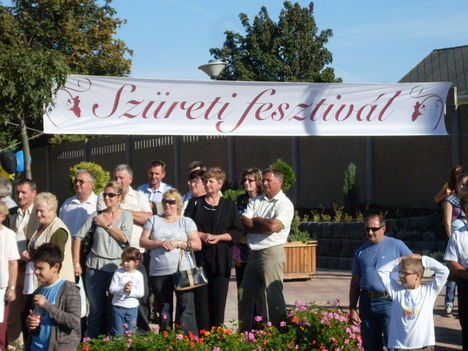 Szüreti fesztivál 2009 