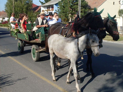 Szüreti fesztivál 2009 