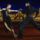 Tanc_lepesekben_7_399946_44564_t