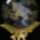 30659_144706_t