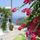 Greekflowers_02_3373_3467035_t