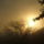 Jo_reggelt__411066_91228_t