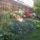 Petuniak_411911_49476_t