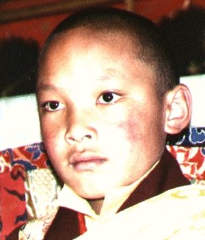 a gyermek Karmapa