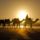 Camels_essaouira_morocco_413816_66161_t
