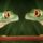 Green_tree_frog_stare_down_413900_65089_t
