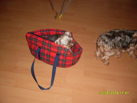 Lilike és az utazó táskálya