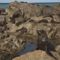 New Zealand Fur Seal, Kaikoura, Canterbury, New Zealand