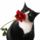 Tuxedo_and_a_rose_413853_43398_t