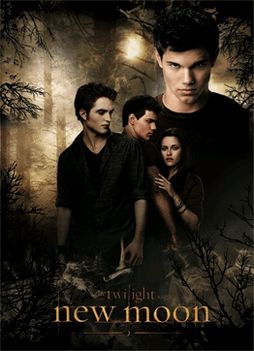 Twilight saga