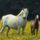 Welsh_pony_mare_and_foal_413821_10050_t