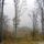 Dobogoko_414511_60338_t
