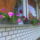 Muskatli_414841_96791_t