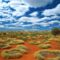 Old Spinifex Rings, Little Sandy Desert, Australia